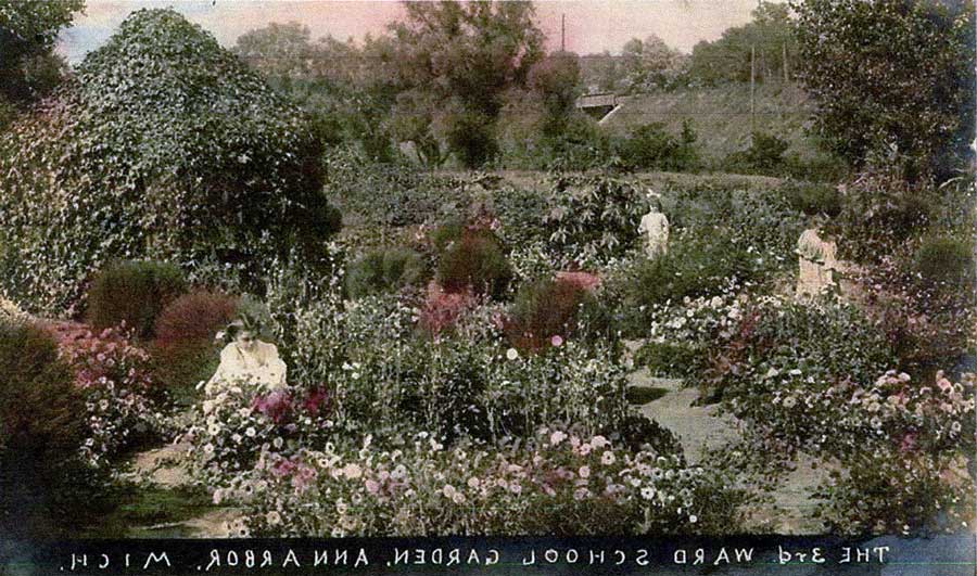 /img/1839Bulbs/WestParkThirdWardSchoolGardenLarge.jpg