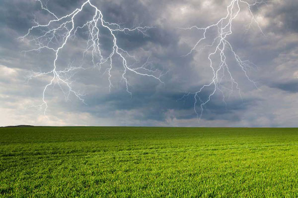 Fertilize Your Garden with . . . Lightning? – www.OldHouseGardens.com