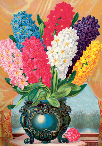 Easter Basket Hyacinths sampler heirloom bulbs #1